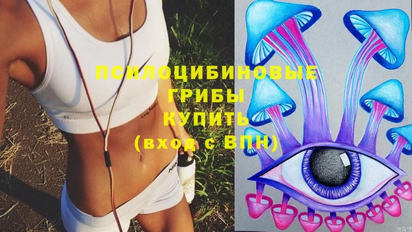 бошки Пестово